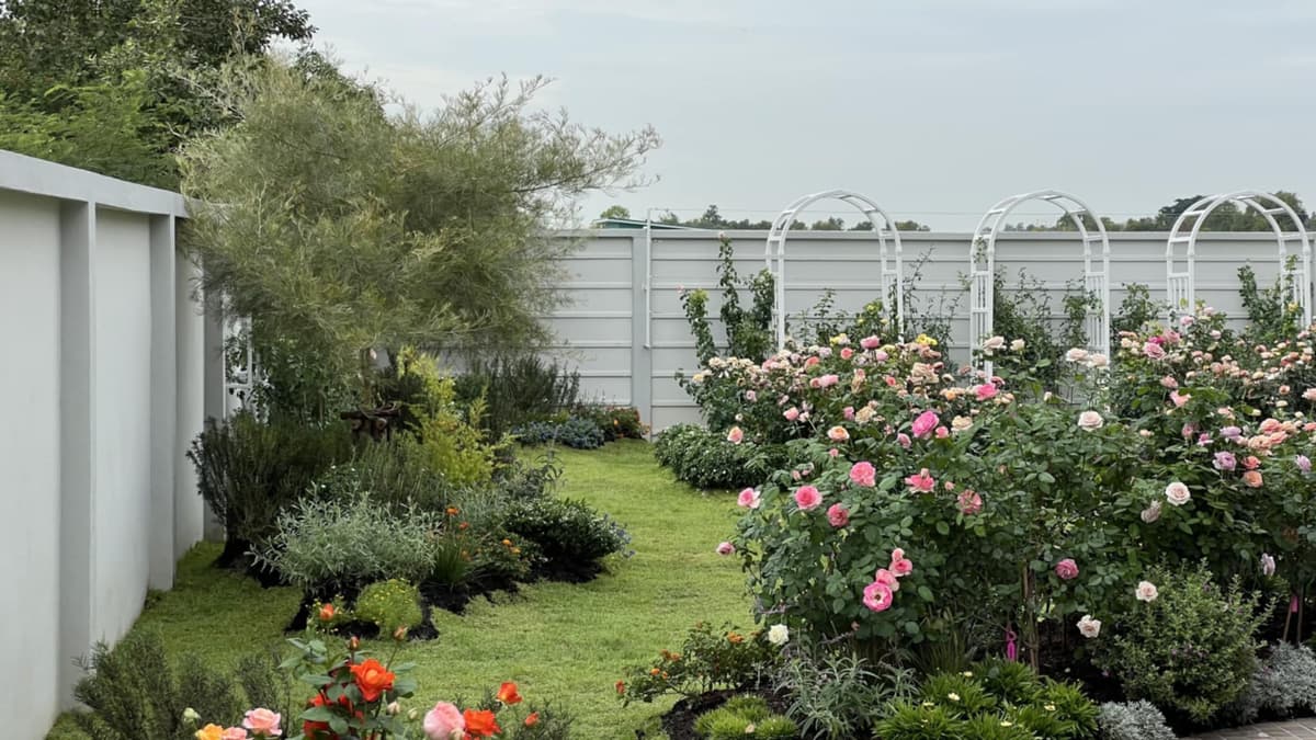 3 ปัญหายอดฮิตของคนอยากจัดสวนกุหลาบที่มักพบได้บ่อยพร้อมวิธีแก้ไข