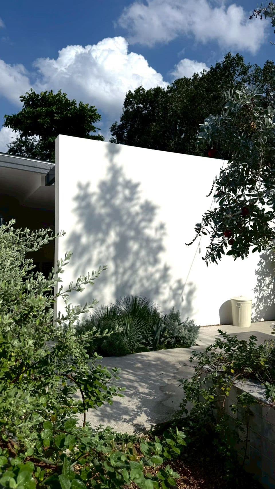 English garden background