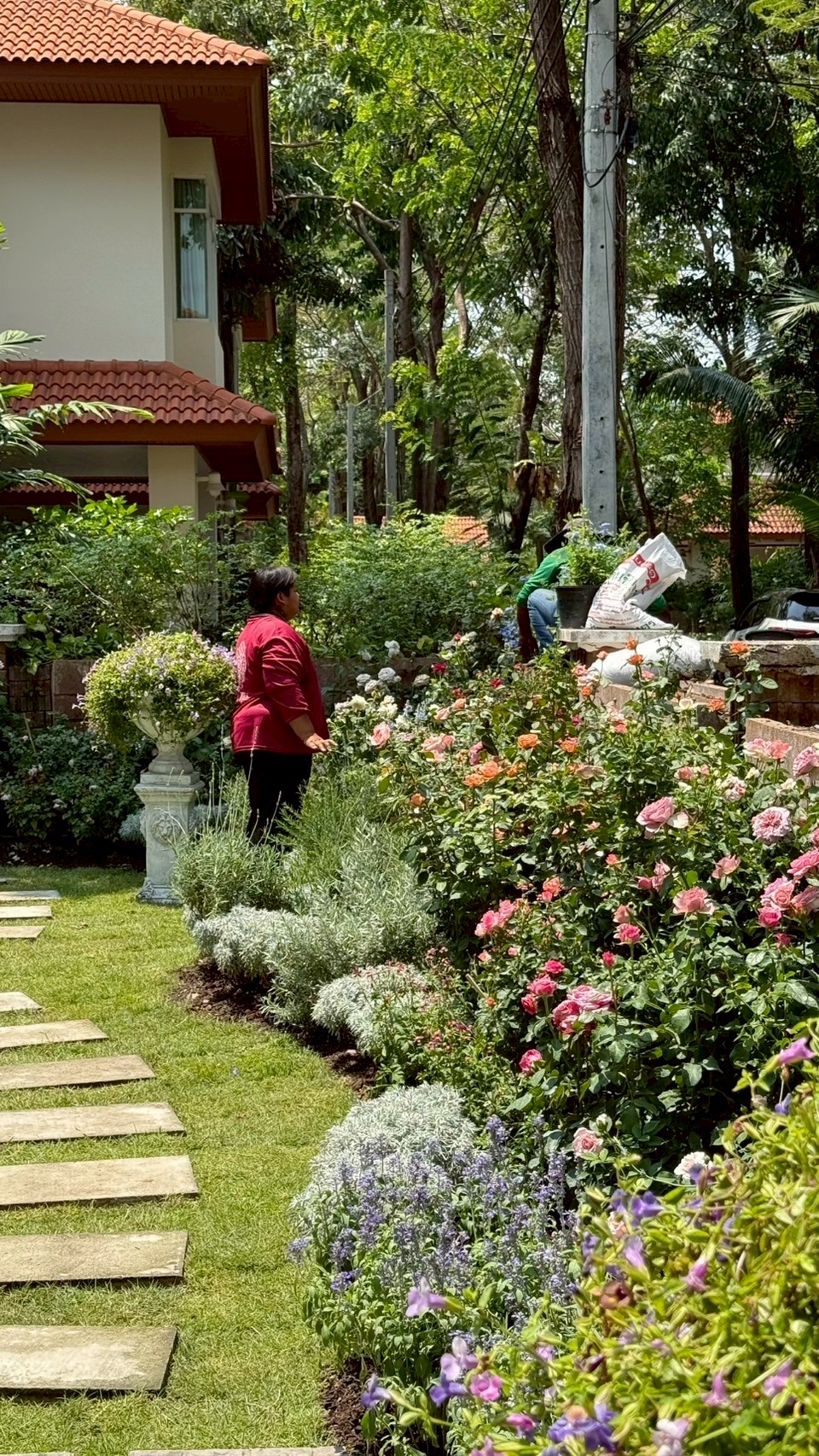 ผลงาน /LINE_ALBUM_งานออกแบบ3D_250522_26.jpg