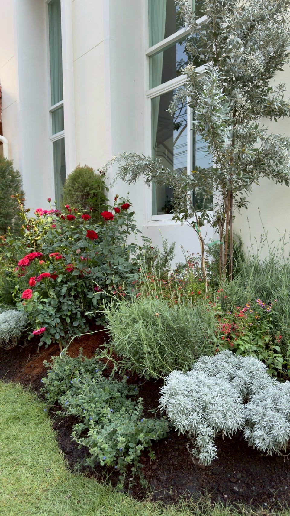 ผลงาน /LINE_ALBUM_งานออกแบบ3D_250522_3.jpg