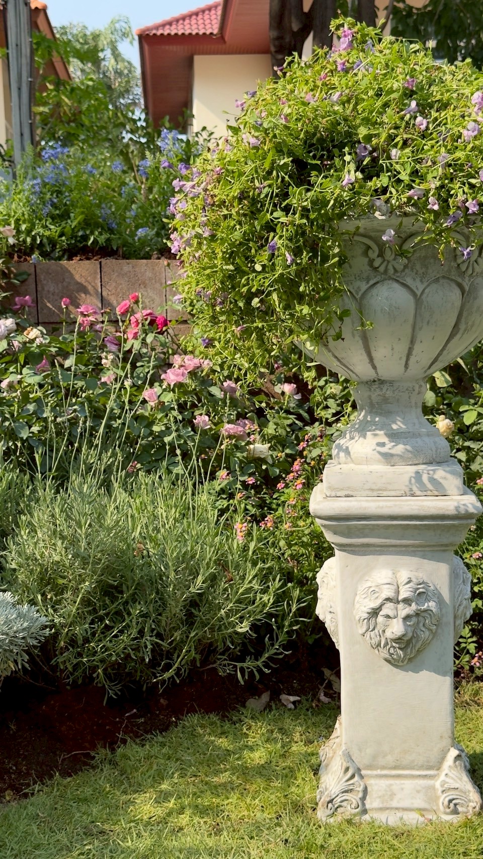 ผลงาน /LINE_ALBUM_บ้านนนทบุรี_250522_1.jpg